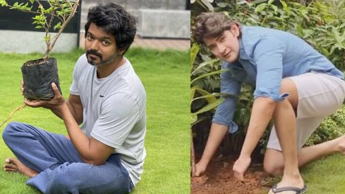 mahesh babu replay for thalabathi vijay mahesh babu replay for thalabathi vijay