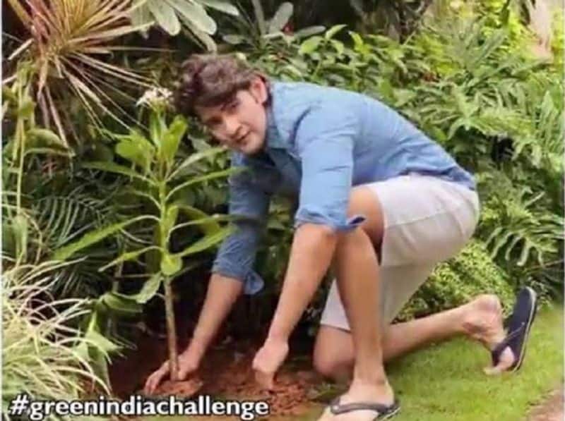 vijay completed the green india challenge photo goes viral
