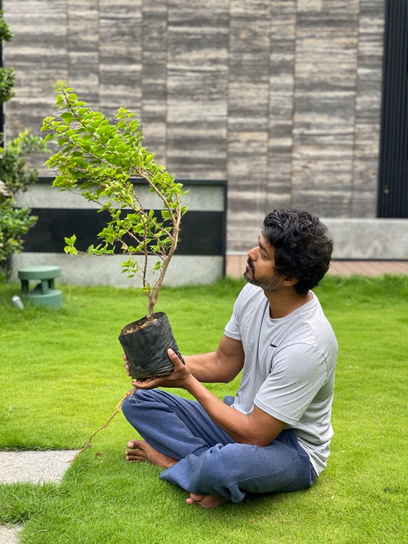 Kollywood Hero Vijay Takes up Green India Chellenge
