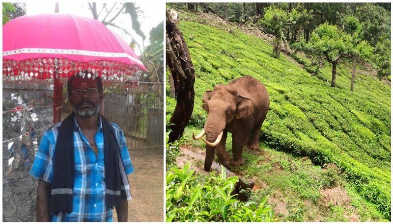 idukki plantation worker killed in wild elephant attack