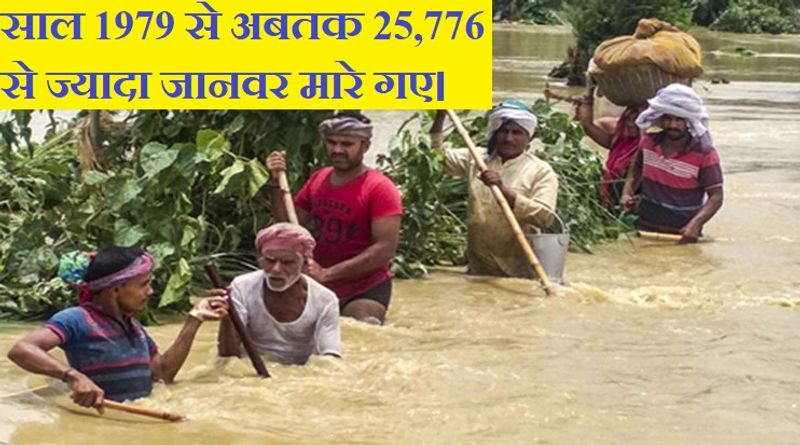 Bihar Flood 2020: Bihar gets flood every year, know the 10 most dangerous floods till date ASA