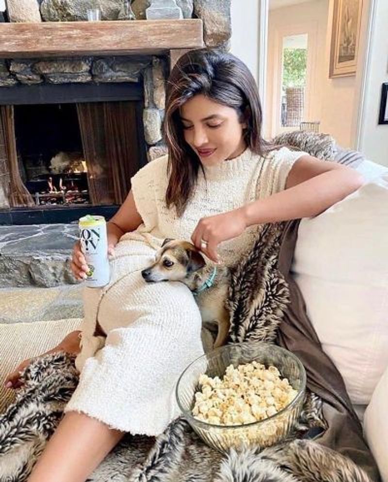 Priyanka Chopra becomes mother of 3 kids welcomes new member to family