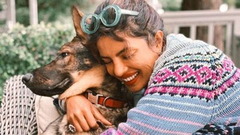 Priyanka Chopra becomes mother of 3 kids welcomes new member to family