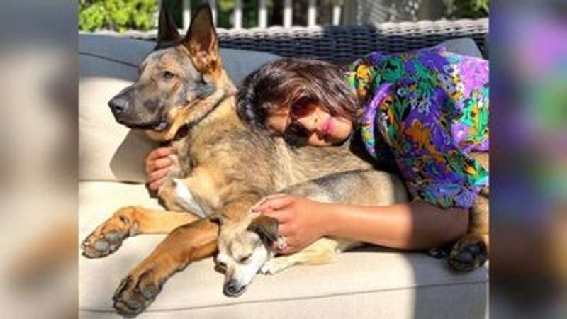 Priyanka Chopra becomes mother of 3 kids welcomes new member to family
