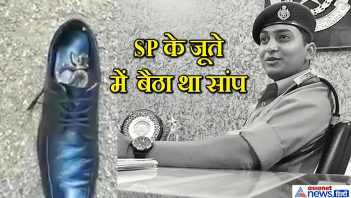 Panna shocking picture, snake was sitting in SP shoes, know what happened then kpa Panna shocking picture, snake was sitting in SP shoes, know what happened then kpa