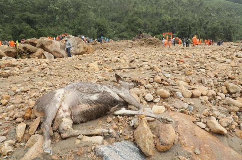 Childrens bodies to be found in pettimudi landslide idukki