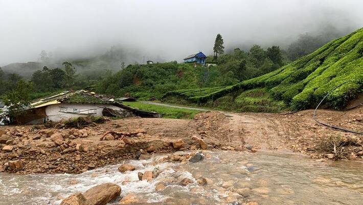 pettimudi land slide land will be allotted to eight families within ten days says district collector pettimudi land slide land will be allotted to eight families within ten days says district collector