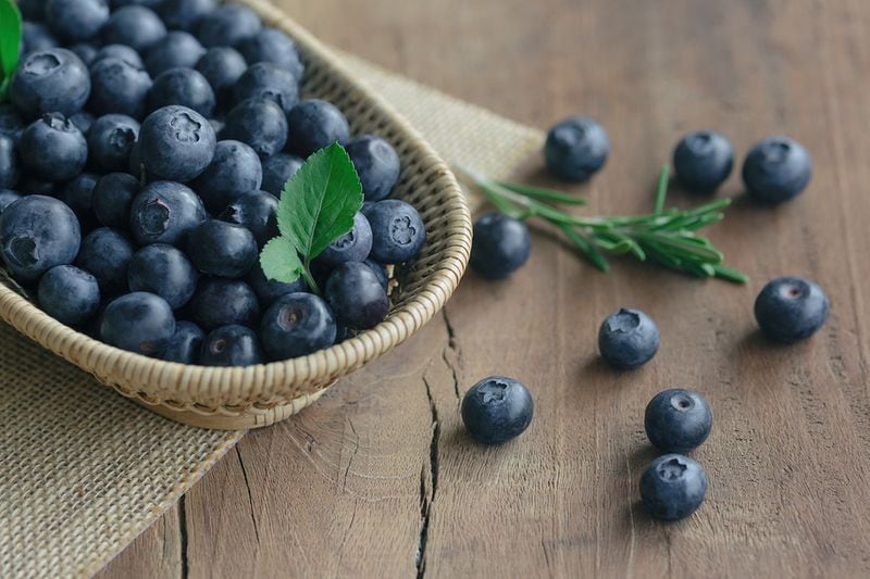 A new research study investigated how serum from subjects consuming a diet enriched with blueberries would affect the cells responsible for muscle growth and repair.