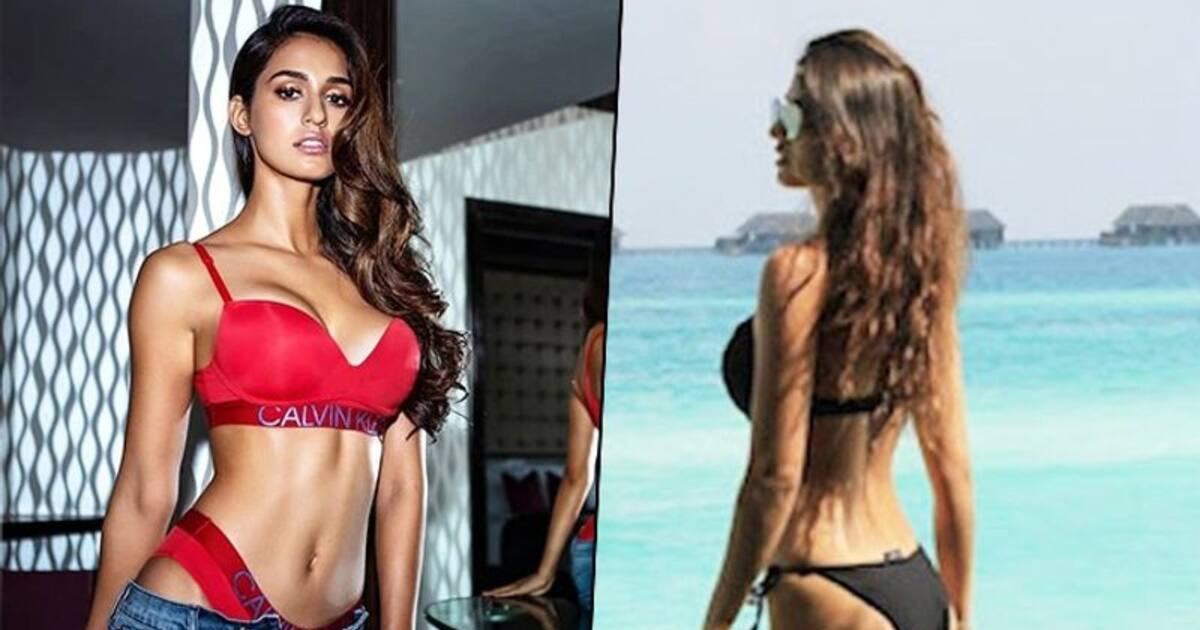 Drooling Over Disha Patani S Sexy Body Here S How She Maintain Her Fitness During Lockdown