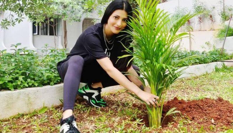 actress shruthihassan completed green india challenge