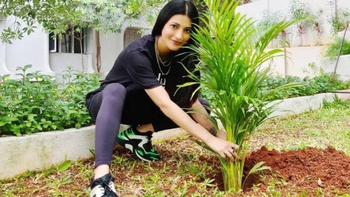 shruti haasan nominates hrithik roshan rana and tamanna for accepting green challenge shruti haasan nominates hrithik roshan rana and tamanna for accepting green challenge