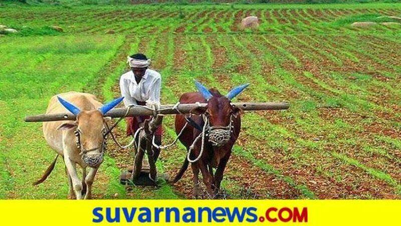 Townsfolk salutes Farmers say rural life and Villages give home feeling vcs