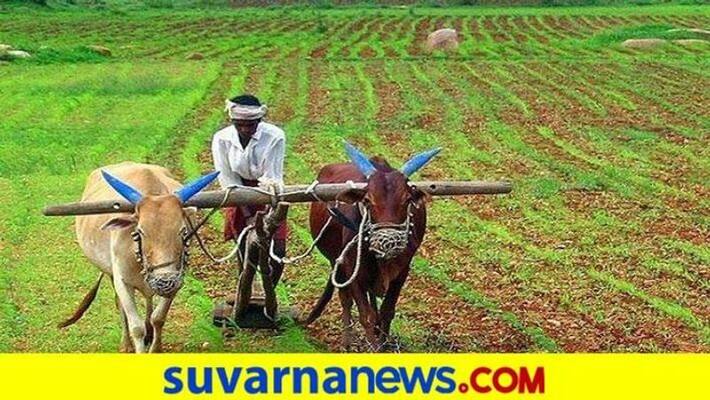 dharwad Agriculture Department invites applications for Monsoon Crop Competition gow dharwad Agriculture Department invites applications for Monsoon Crop Competition gow