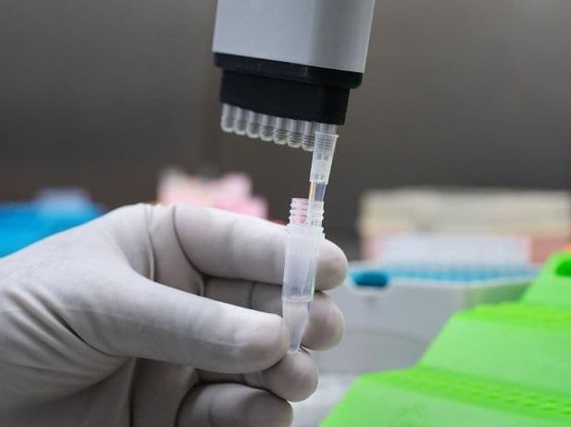 Coronavirus Zydus Cadila launches Indias cheapest remdesivir version at Rs 2800 per vial-dnm