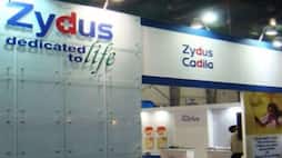 Covid 19 treatment Indias Zydus Cadila seeks regulatory approval for clinical trials of antibody cocktail