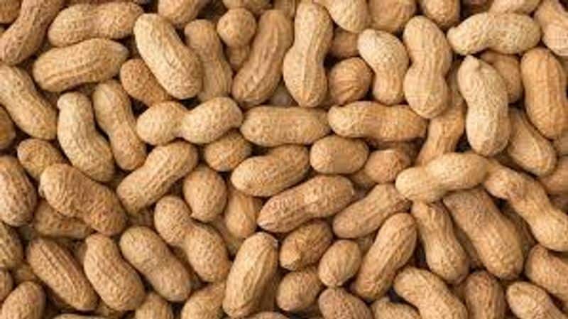 Why you must eat peanut daily during winter season
