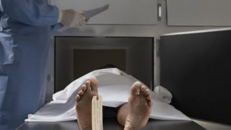 Dogs were eaten by the dead body in a government hospital in Andhra Pradesh kpn
