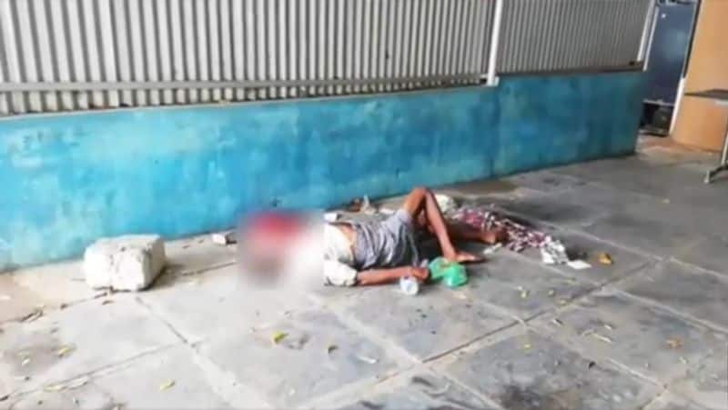 Dogs were eaten by the dead body in a government hospital in Andhra Pradesh kpn