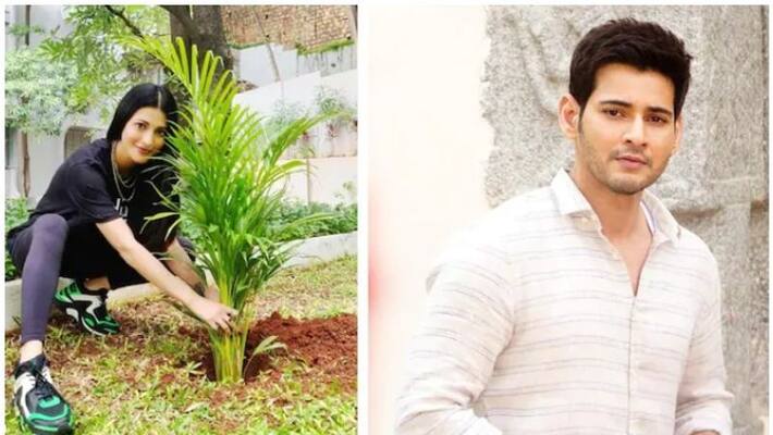 Shruti Hasan accepts Mahesh Babu Green India Challenge Shruti Hasan accepts Mahesh Babu Green India Challenge