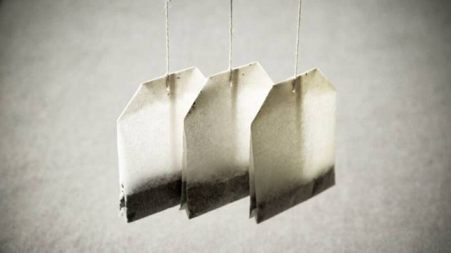 Dont throw away your used tea bags anymore: Use them like this Dont throw away your used tea bags anymore: Use them like this