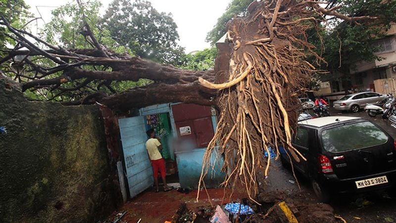 Rajasthan floods, three youths drowned in Dantwara drain, shocking accident kpa