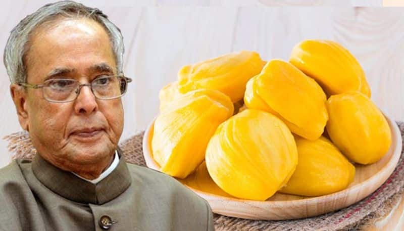 dad asked for jackfruit from village says  Pranab Mukherjee son