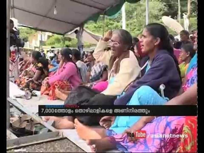Who is responsible for the sad state of Layam Workers in Rajamala Munnar?