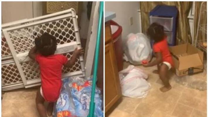 viral video one year old baby out of the kitchen from taking snacks and throwing my veggies around the kitchen viral video one year old baby out of the kitchen from taking snacks and throwing my veggies around the kitchen