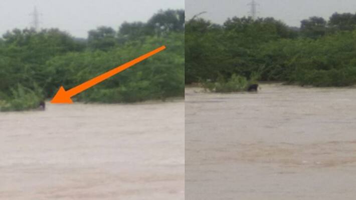 KTR sends helicaptor to rescue 12 farmers from swamp KTR sends helicaptor to rescue 12 farmers from swamp