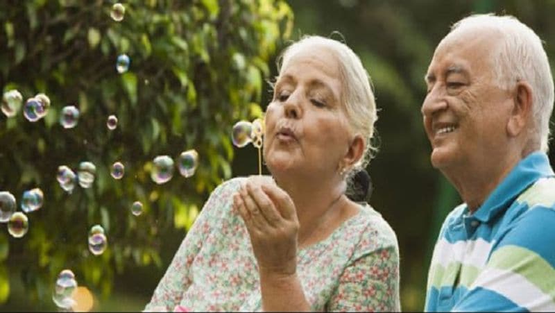 On 74th Independence Day, you may invest in these 6 schemes to get financial security and freedom MJA