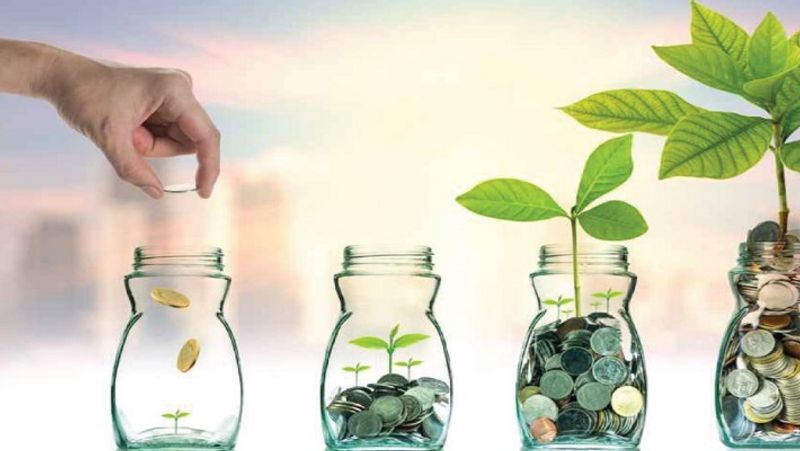 On 74th Independence Day, you may invest in these 6 schemes to get financial security and freedom MJA