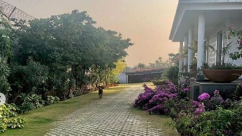 jharkhand NEWS mahendra singh dhoni retired from international cricket luxurious bungalows photo KPR