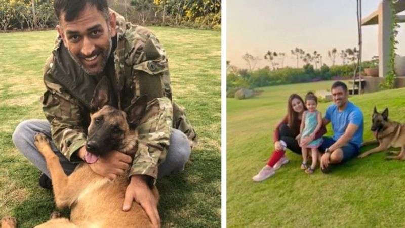 jharkhand NEWS mahendra singh dhoni retired from international cricket luxurious bungalows photo KPR
