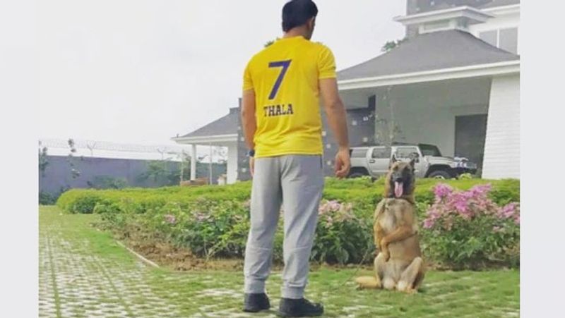 jharkhand NEWS mahendra singh dhoni retired from international cricket luxurious bungalows photo KPR