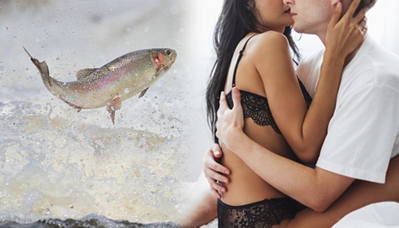 Reason behind young guys attracted towards aunts