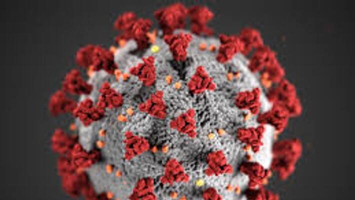 Coronavirus Over 30 countries report 1,000 COVID-19 cases in single-day, says WHO Coronavirus Over 30 countries report 1,000 COVID-19 cases in single-day, says WHO