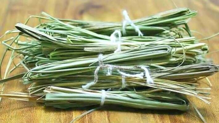 Kushagrahani Amavasya on August 18, know the importance of Kusha Grass in religious work KPI Kushagrahani Amavasya on August 18, know the importance of Kusha Grass in religious work KPI