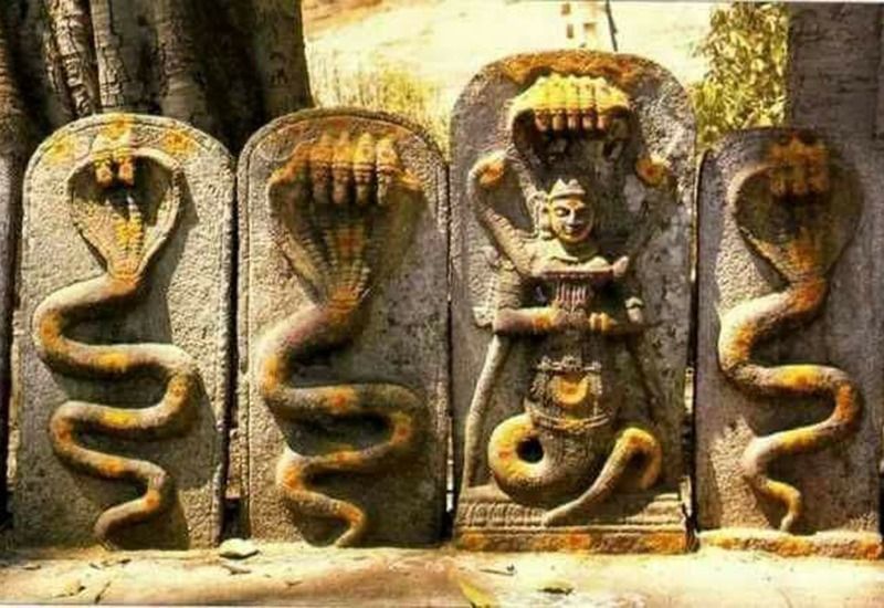 নাগা- সাপ বা নাগা 'কুণ্ডলিনী শক্তি' এবং মহাজাগতিক শক্তি। প্রাচীন কাল থেকেই, নাগা সর্প উপাসকদের গোষ্ঠীর প্রতিনিধিত্ব করেছিলেন, ভূগর্ভস্থ বা 'পাটাল' এর শাসক। সাপের প্রতীকী তাত্পর্যটি দুর্দান্ত বলে বিশ্বাস করা হয়। 'নাগা' এবং স্ত্রীলিঙ্গ 'নাগিন' উভয়ই পুস্তকে বহুলভাবে উপাসনা করা হয়। বিশেষ নাগা মন্দিরে সাপগুলি নিয়মিত অন্যান্য দেবদেবীদের মতো রাখা এবং পুজো করা হয়। নাগা বা সাপের উপাসনা কোনও হিন্দুর জীবন ও সময়কে ঘিরে ধরে। এটি মূলত পুনরায় জন্ম, মৃত্যু এবং মৃত্যুর প্রতিনিধিত্ব করে, এর ত্বকে এটি প্রতীকীভাবে "পুনর্জন্ম" নিক্ষেপ করে। সাপগুলি মূল শক্তি এবং নিরাময়ের প্রতীক। অনেক হিন্দু সমাজে, সর্পগুলিকে ঘরের অভিভাবক হিসাবে ঘোষণা করা হয় এবং তারা বলে: যখন একটি সাপ আপনার জীবনে প্রবেশ করে, তখন সৃজনশীলতা এবং প্রজ্ঞার সময় শুরু হয়।