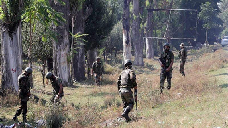 Pak army crosses border more than 3,000 times in 7 months: India in peak turmoil