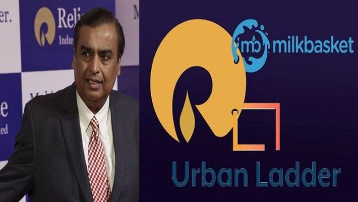 reliance industries in talks to buy Milkbasket, Urban Ladder reliance industries in talks to buy Milkbasket, Urban Ladder