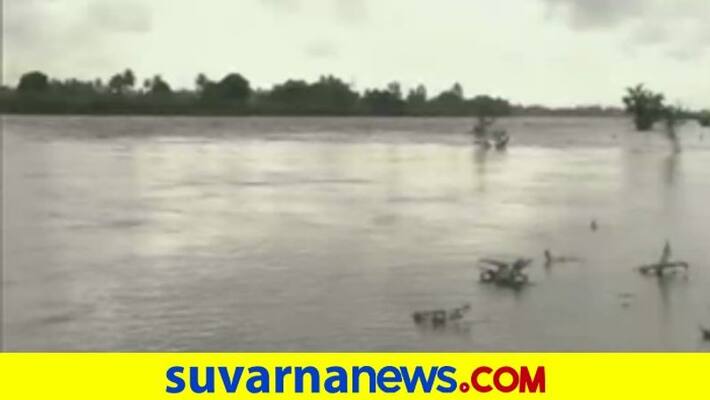 Heavy Rain In North Karnataka Water Level Increases In Krishna Malaprabha River 7 District People Facing Problems Heavy Rain In North Karnataka Water Level Increases In Krishna Malaprabha River 7 District People Facing Problems