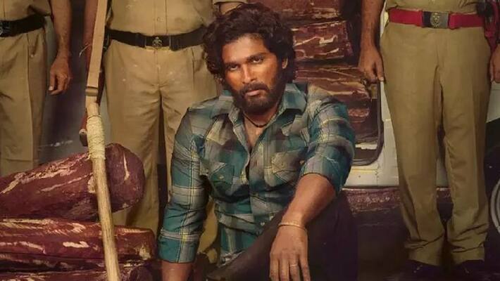 Director Sukumar Clarity on Allu Arjun Pushpa Budget Director Sukumar Clarity on Allu Arjun Pushpa Budget