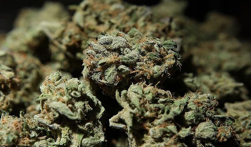 this atm disposes weed instead of money in just 1 minute shopping directly without broker kph