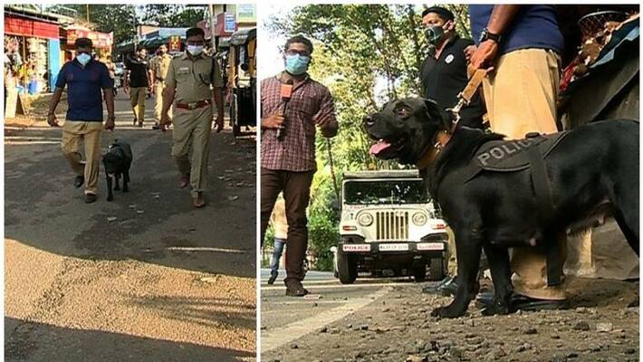 police brought trained dogs to recover banned tobacco products in pathanamthitta police brought trained dogs to recover banned tobacco products in pathanamthitta
