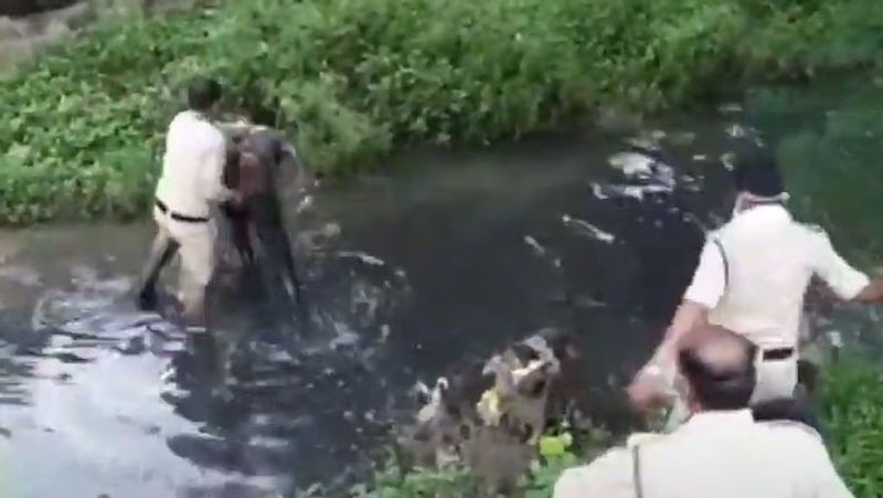 Madhya Pradesh Crime, Shocking pictures of fighting in the drain between rapist and police kpa