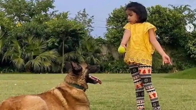 ms dhoni daughter missing dad dhoni as he went for ipl, shared photo in instagram dva