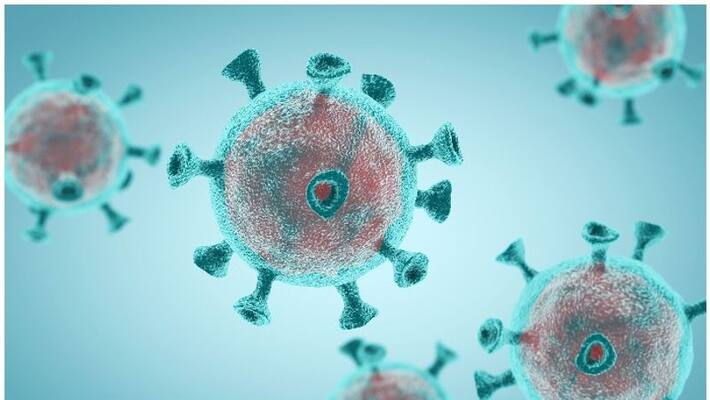 dr Rajeev Jayadevan face book post immune response in covid 19 dr Rajeev Jayadevan face book post immune response in covid 19