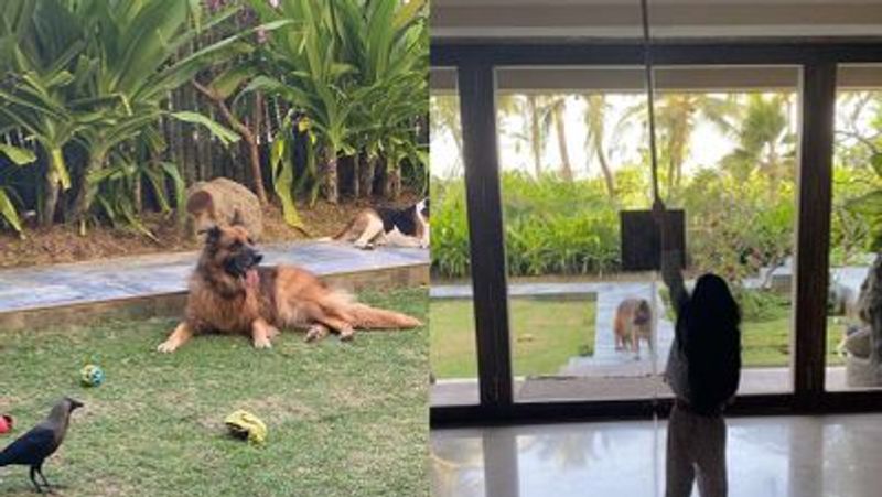 Akshay Kumar home garden is as luxurious as bollywood actor home