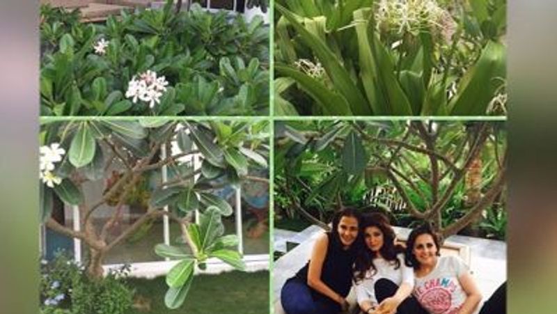 Akshay Kumar home garden is as luxurious as bollywood actor home