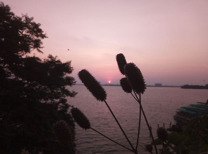 World Photography Day Photographer Ravi tells his own life